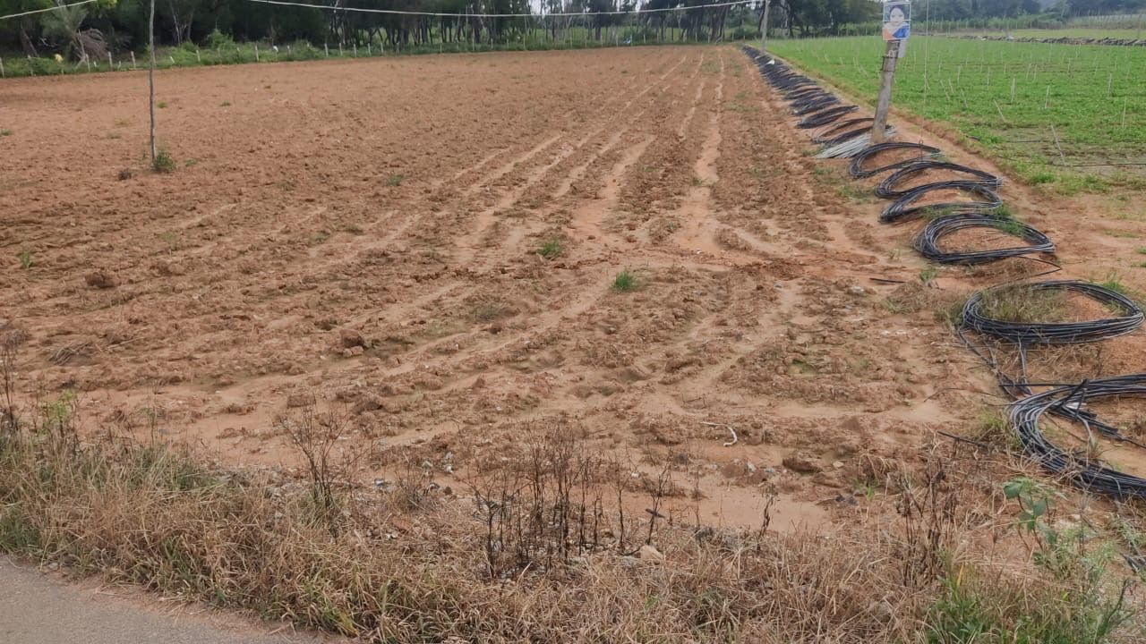3 Acres Agricultural Land for Lease in Bengaluru